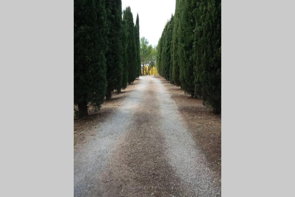 Вилла Bastide Au Milieu Des Vignes Et Des Oliviers Оп Экстерьер фото